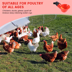 Chicken Waterer Cups, Chicken Waterer for Chicken Ducks Quail 6Pcs