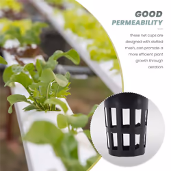 100 Pack Net Cups Slotted Mesh Wide Lip Filter Plant Net Pot