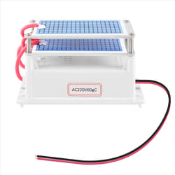60G/H Generator Air Cleaner Remove Odor Machine 220V