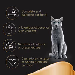 Sheba Select Slices Cat Pouches Poultry Collection In Gravy 12x85g (Pack of 4)