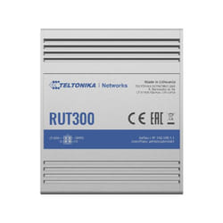 Teltonika RUT300 wired router Fast Ethernet Blue, Metallic
