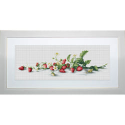 LUCAS-S Etude with Strawberries Counted Cross Stitch Kit  Pack of 1