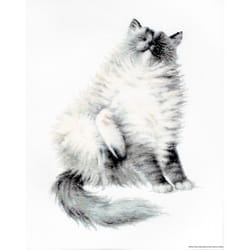 LUCAS-S Micky Counted Cross Stitch Kit  Pack of 1