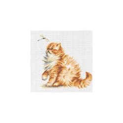 Kitten With Dragonfly Ginger Persian Cat Counted Cross Stitch Kit Luca