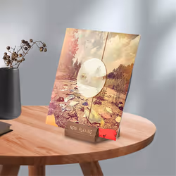 Wooden Vinyl Record Holder Display Stand