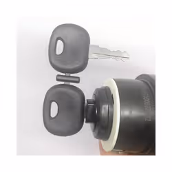 7 Pins Ignition Switch with Two 16403 Keys 0009730212