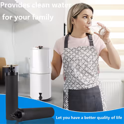 Black Replacement Water Filter,Replacement Compatible with Gravity