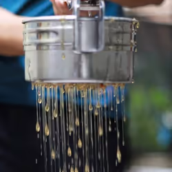 Honey Presser,Mini Stainless Steel Honey Separator
