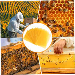 Beeswax Sheets 10Pcs Beeswax Foundation Sheets Wax Foundation