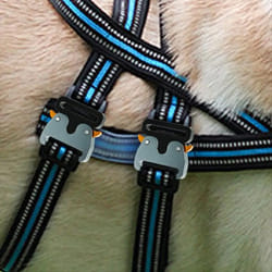 Metal Buckles Clips Luggage Buckle Strap Release Adjustable