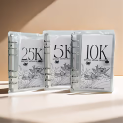 Easy And FunnyWay To Save 2.5K Budget Planner Envelope Challenge