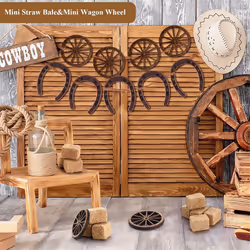 Western Supplies Horseshoe Decorations