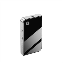 AP20 Portable Amplifier Dual Chip 2.5/3.5/4.4 A