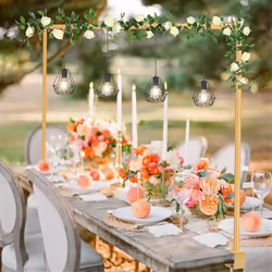 Over the Table Rod Stand with Clamps Table Balloon Arch Stand Gold