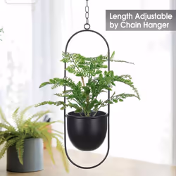 2 Pack Hanging with 6 inch Pot Hanging Plant Holder