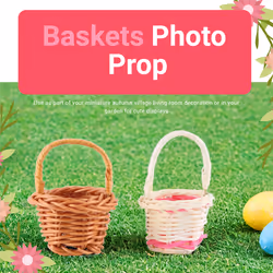 10Pcs Basket Mini Woven Baskets with Handles Plant Pots Containers
