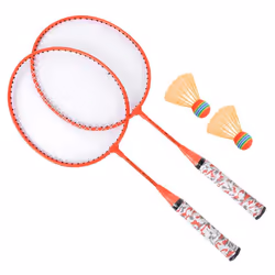 Shuttlecocks Racquet Sports Set with 2 Balls for Outdoor Sport Green