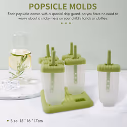 6 Pack Reusable Ice Cream DIY Molds Holders with Tray and Sticks