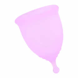 ANYTIME Women Silicone Anti Leakage Menstrual Period Cup S