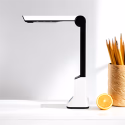 Portable High-Definition Scanner, with Real-Time Projection Function