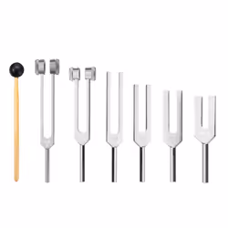 6Pcs/Set 128Hz 256Hz 512Hz 1024Hz 2048Hz 4096Hz Tuning Fork