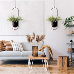 2 Pack Hanging with 6 inch Pot Hanging Plant Holder