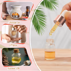 100Pcs Mini Glass Dropper Bottle Clear Essential Oil Dropper Bottles