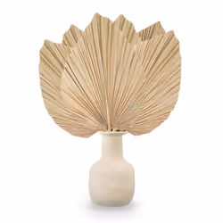 6PCS Dried Palm Leaves Natural Dried Palm Fans, for Wedding Decor S