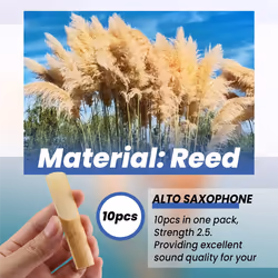 10pcs/ Box Alto Saxophone Reeds Sax Reeds Strength 2.5 Woodwind