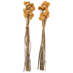 40Pcs Dried Craspedia Flowers Dried Button Balls Flowers
