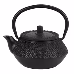 Iron Tea Pot with Stainless Steel Infuser Cast Japanese Iron Teapot