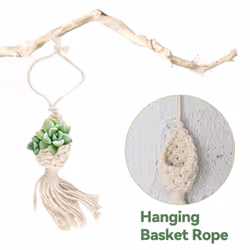 Tillandsia Hanging Basket Rope Holder Flower Home Decor (10CM)