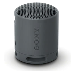 Bluetooth Speaker Sony SRS-XB100 Black 5V Compatible with Any Bluetooth Device