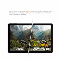 Tablette Tactile AGM Pad T2- Double Sim - Android 14-10.95 "-256 GB, 4 RAM - Gray