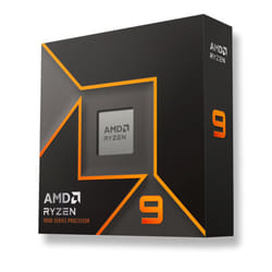 AMD Ryzen 9 9900X Processor - Boxed