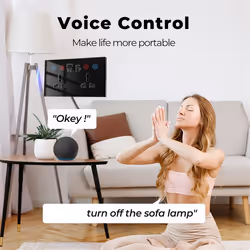 Universal Plug /WiFi Smart Socket Switch