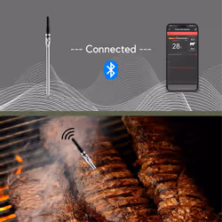 Wireless Food Meat Thermometer Smart Digital Bluetooth With 2 probes