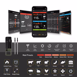 Wireless Food Meat Thermometer Smart Digital Bluetooth With 2 probes