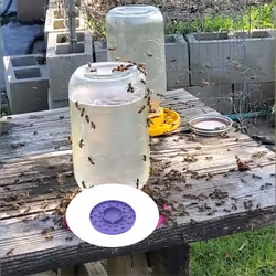 Bee Feeder Base for Regular Mouth Mason Jar, Bee Watering Station