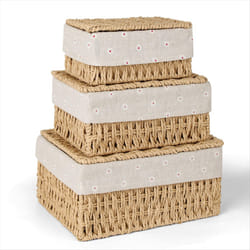 Storage Basket, Pack of 3 Storage Basket with Lid, Woven Basket