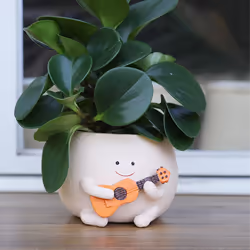 Smily Face Planter Pot with Drainage Hole Cute Resin