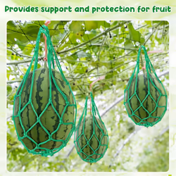 12 Pcs Watermelon Net Melon Cradle Plant and Garden Supports Green