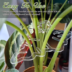 2PCS Monstera Grapple Monstera Leaf Plant Support Bamboo Clamp Set