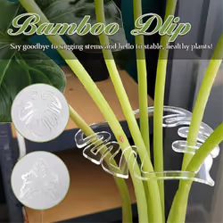 2PCS Monstera Grapple Monstera Leaf Plant Support Bamboo Clamp Set