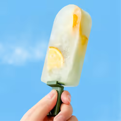 Ice Cream Mold With Cover Lovely Homemade Popsicle Tray DIY Tools