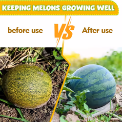 50 Pcs Melon Cradle Plastic Melon Cradles Watermelon Holder
