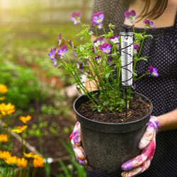 7L Capacity Glass Spiral Rain Gauge,with Metal Frame