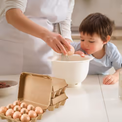 20 Pack Egg Cartons, Paper Pulp Square Egg Cartons Eggs