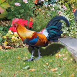 Rooster Lawn Stakes Outdoor Farm Garden Animal Chicken Statues