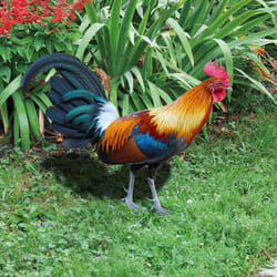 Yard Rooster Sign Rooster Acrylic Outdoor Garden Ground Insert A